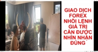 GIAO DỊCH FOREX NHỒI LỆNH GIÁ TRỊ CẦN ĐƯỢC NHÌN NHẬN ĐÚNG