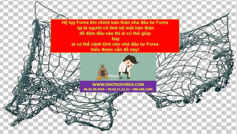 NHÀ ĐẦU TƯ FOREX VÀ HỆ LỤY TRÊN THỊ TRƯỜNG FOREX