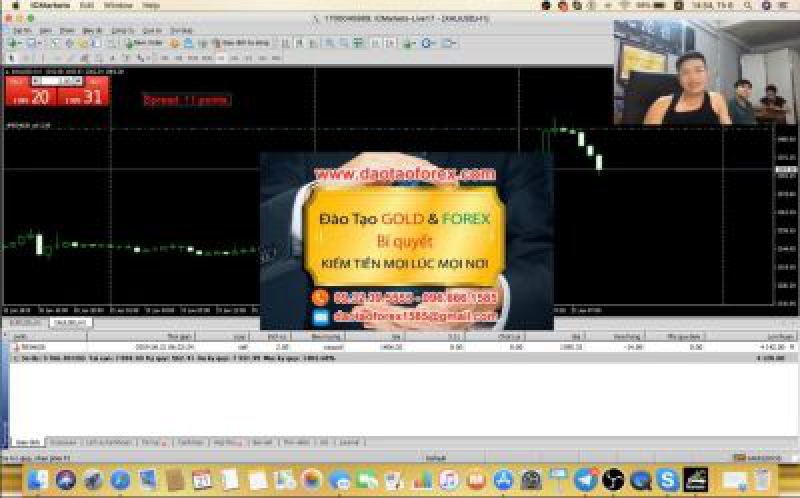 Rất nhiều thằng thầy dạy Forex trên thị trường không có khả năng giao dịch Forex
