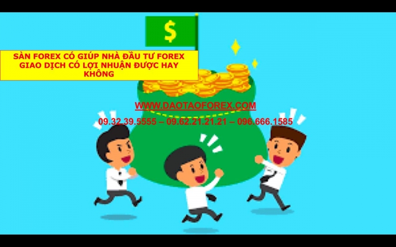 SÀN FOREX CÓ GIÚP NHÀ ĐẦU TƯ FOREX GIAO DỊCH CÓ LỢI NHUẬN ĐƯỢC HAY KHÔNG