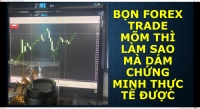 BỌN FOREX TRADE MÕM THÌ LÀM SAO MÀ DÁM CHỨNG MINH THỰC TẾ ĐƯỢC