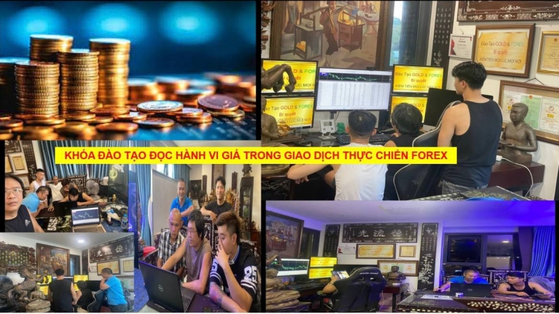 KHÓA ĐÀO TẠO ĐỌC HÀNH VI GIÁ TRONG GIAO DỊCH THỰC CHIẾN FOREX