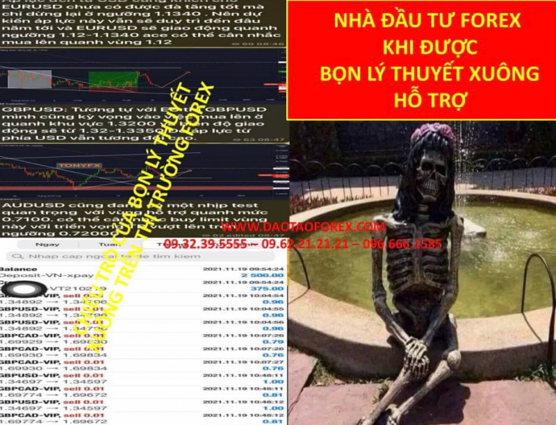 FOREX LÝ THUYẾT XUÔNG CHÚNG GIÚP NHÀ ĐẦU TƯ FOREX