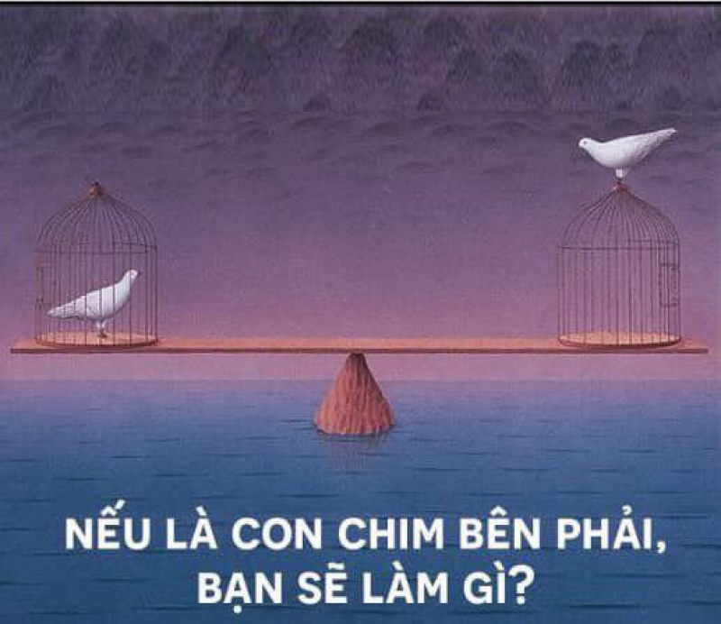 BÍ QUYẾT GIAO DỊCH FOREX TUYỆT CHIỂU HAY TUYỆT NHIÊN MẤT TIỀN