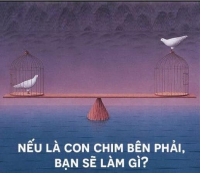 BÍ QUYẾT GIAO DỊCH FOREX TUYỆT CHIỂU HAY TUYỆT NHIÊN MẤT TIỀN