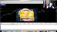TƯ VẤN FOREX