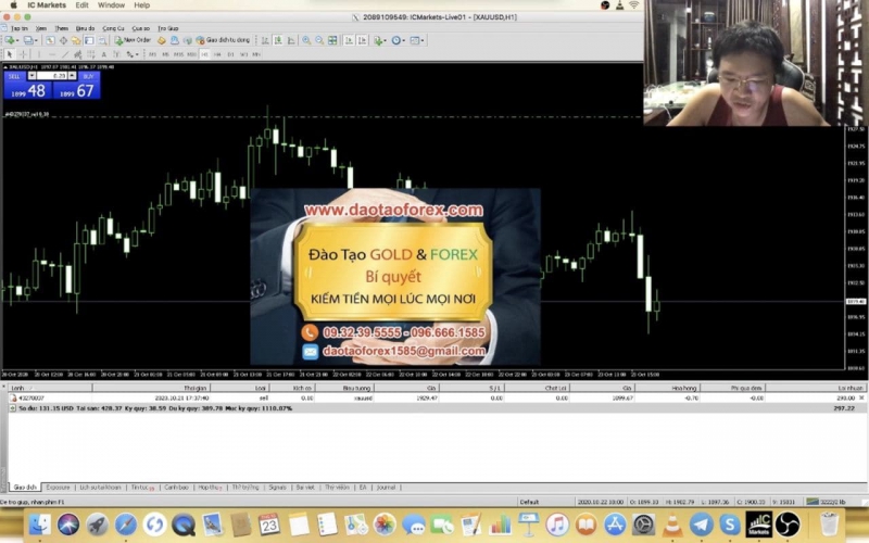TRADER VÀ THỰC TẾ KHI KHÔNG THỂ GIAO DỊCH FOREX ĐƯỢC