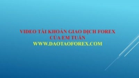 Từ những giao dịch Forex live stream, cho đến những giao dịch trực tiếp tại phong trade cùng với thầy dạy Forex,