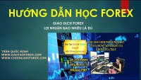 HỌC FOREX LỢI NHUẬN BAO NHIÊU LÀ ĐỦ