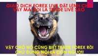GIAO DỊCH FOREX LIVE ĐẶT LỆNH CHỜ VẬY MÀ GỌI LÀ TRADE LIVE SAO
