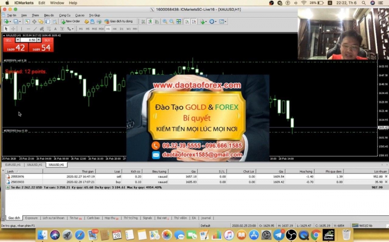 HỌC FOREX ONLINE TOÀN BỌN LỪA ĐẢO