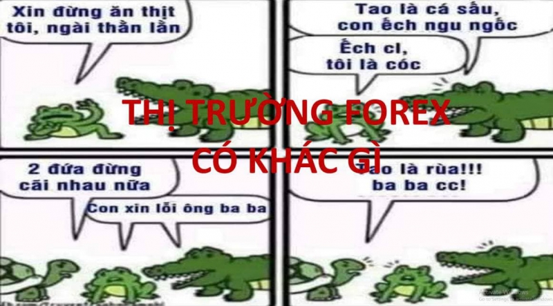 VIDEO CHIA SẺ FOREX THÀNH CÔNG NHAM NHẢM