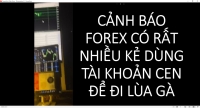 CẢNH B&Aacute;O FOREX C&Oacute; RẤT NHIỀU KẺ D&Ugrave;NG T&Agrave;I KHOẢN CEN ĐỂ ĐI L&Ugrave;A G&Agrave;