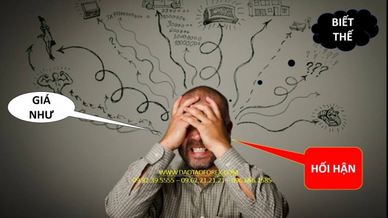BỌN CÙI BẮP CỦA THỊ TRƯỜNG FOREX THÌ LÀM SAO DÁM CHỨNG MINH TRADE LIVE THỰC TẾ