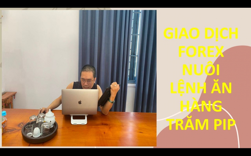 TƯ VẤN FOREX FREE