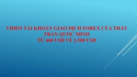 phải cho theo dõi tài khoản giao dịch ngoại hội của họ trên thị trường