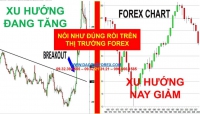 THỊ TRƯỜNG FOREX VỚI LŨ NGU GIÁ LÊN NÓI LÊN GIÁ XUỐNG NÓI XUỐNG NHƯ ĐÚNG RỒI