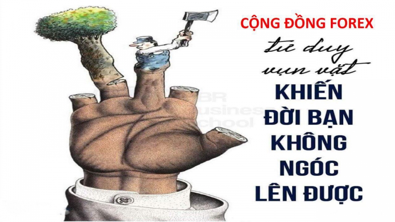 CỘNG ĐỒNG FOREX THỰC TẾ ĐANG XẨY RA