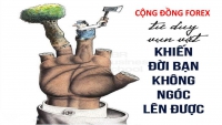CỘNG ĐỒNG FOREX THỰC TẾ ĐANG XẨY RA