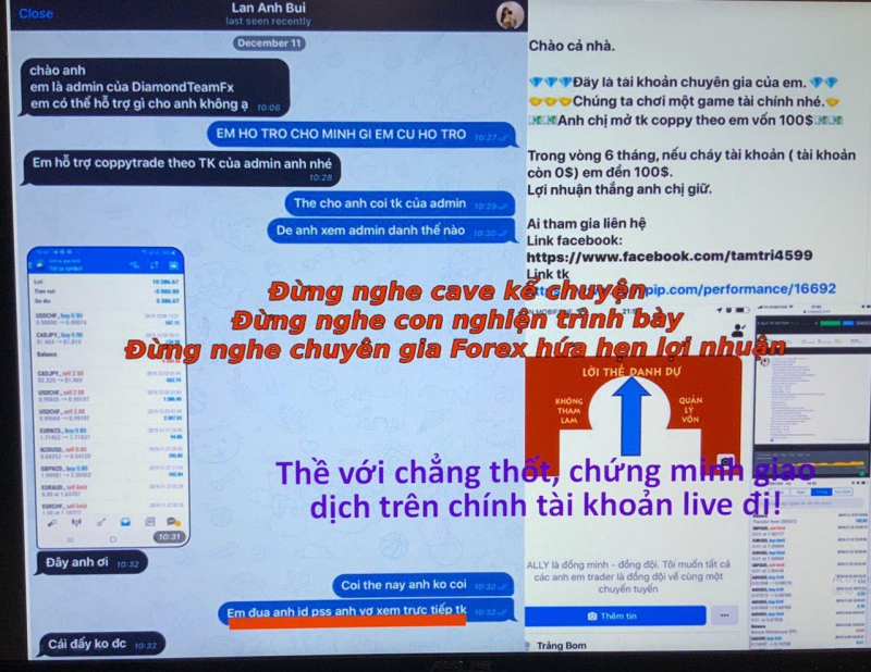 COPY TRADE VỚI NHỮNG LỜI HỨA LỪA ĐẢO NHÀ ĐẦU TƯ FOREX