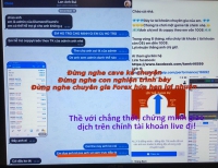 COPY TRADE VỚI NHỮNG LỜI HỨA LỪA ĐẢO NHÀ ĐẦU TƯ FOREX