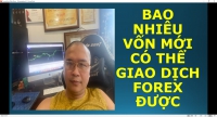 BAO NHIÊU VỐN MỚI CÓ THỂ GIAO DỊCH FOREX ĐƯỢC