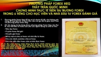 PHƯƠNG PHÁP FOREX HEG THẦY TRẦN QUÔC MINH ÁP DỤNG THỰC TẾ