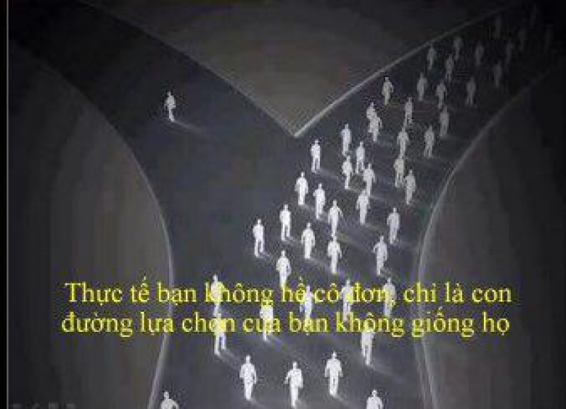 NHÀ ĐẦU TƯ FOREX GÓC NHÌN CẦN SUY NGẪM