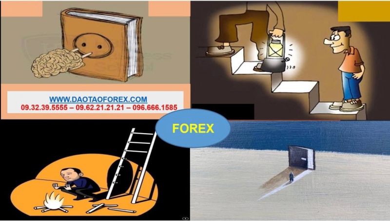 FOREX