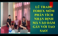 FOREX ĐỈNH CAO PHẢI CHỨNG MINH ĐƯỢC CHỨ KHÔNG PHẢI DÙNG TRADING GÁY