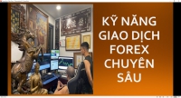 NHẬN ĐỊNH VÀ PHÂN TÍCH THỊ TRƯỜNG TOÀN BỌN MÕM CÓ GIAO DỊCH ĐƯỢC ĐÂU