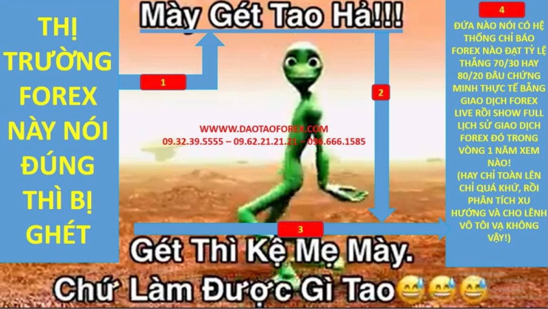 CHỈ BÁO FOREX NÀO CÓ THỂ GIÚP NHÀ ĐẦU TƯ FOREX THÀNH CÔNG