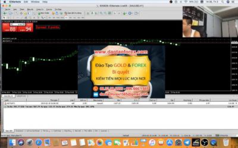 Giao dịch Forex trên thị trường phải chăng khi bản thân nhà đầu tư Forex