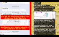 LỪA ĐẢO FOREX DÙNG TRADING VIEW VÀ BACKTEST ĐỂ LỪA