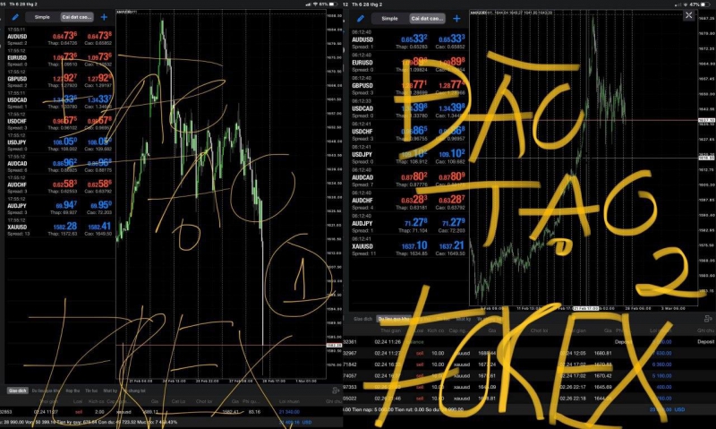 NĂNG LỰC GIAO DỊCH FOREX THỰC TIỄN GIÁ TRỊ ĐỂ NHÌN NHẬN