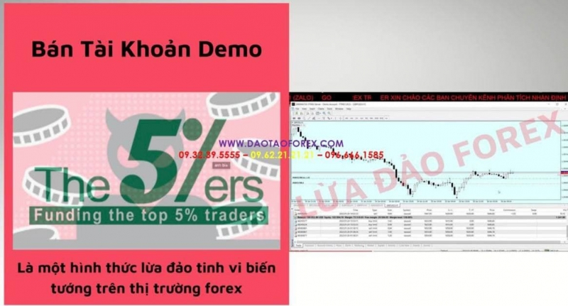 QUỸ FOREX CẤP VỐN CHO NHÀ ĐẦU TƯ FOREX SỰ THẬT LỪA ĐẢO CẦN BIẾT