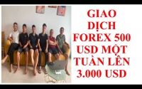 LÝ DO GÌ MÀ THẦY TRẦN QUỐC MINH GIAO DỊCH FOREX ĐƯỢC