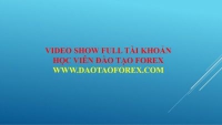 Phương pháp giao dịch Forex không tự dưng đẻ ra lợi nhuận