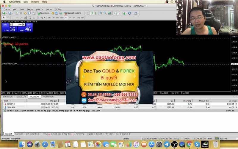 TRADE FOREX