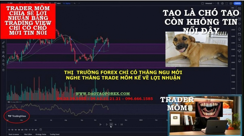 THỊ  TRƯỜNG FOREX CHỈ CÓ THẰNG NGU MỚI NGHE THẰNG TRADE MÕM KỂ VỀ LỢI NHUẬN