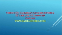 GIAO DỊCH FOREX CỨU TÀI KHOẢN 3500 USD VỀ 18000 USD